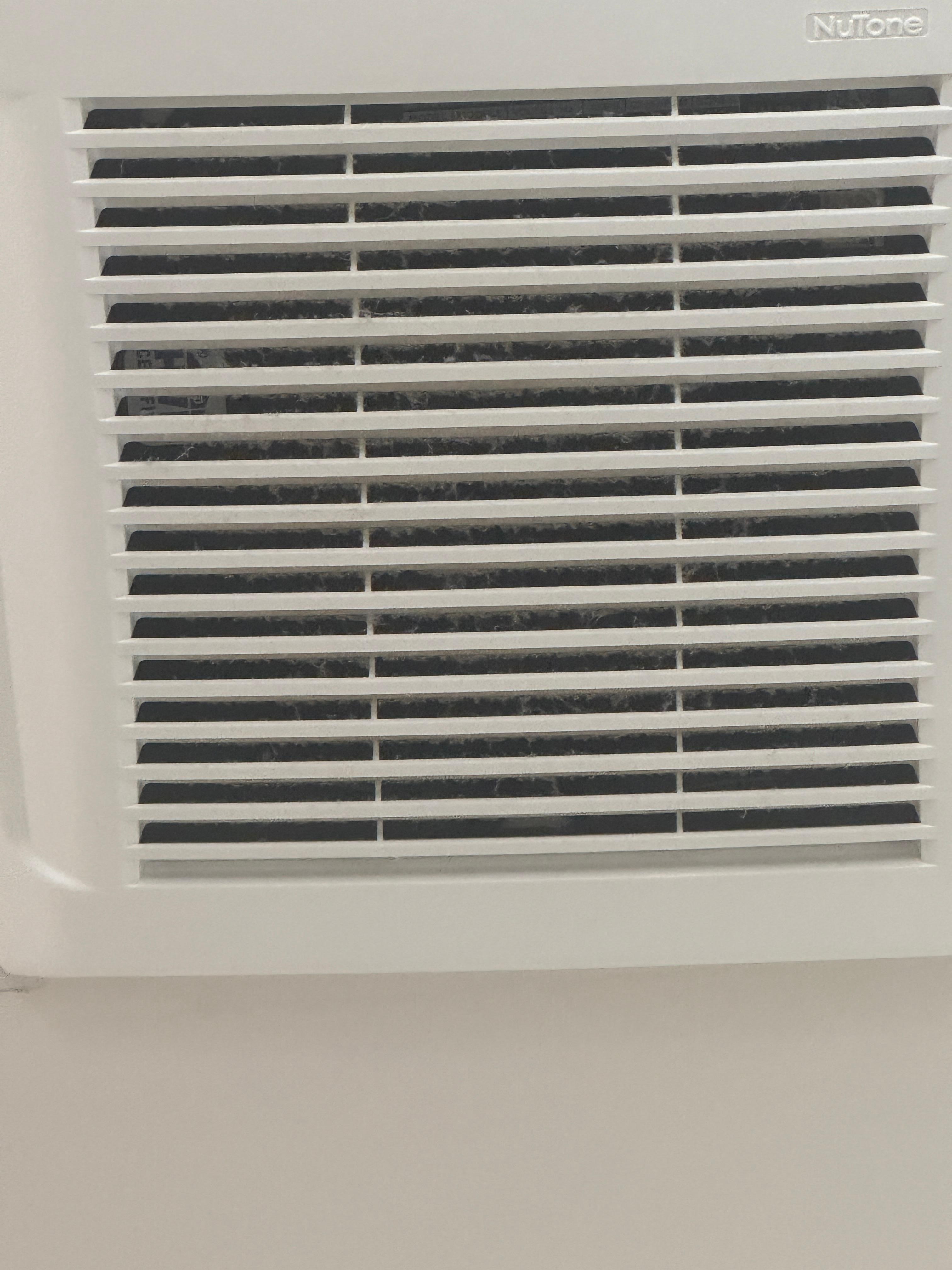 A single exhaust fan in the house but each one is like this.