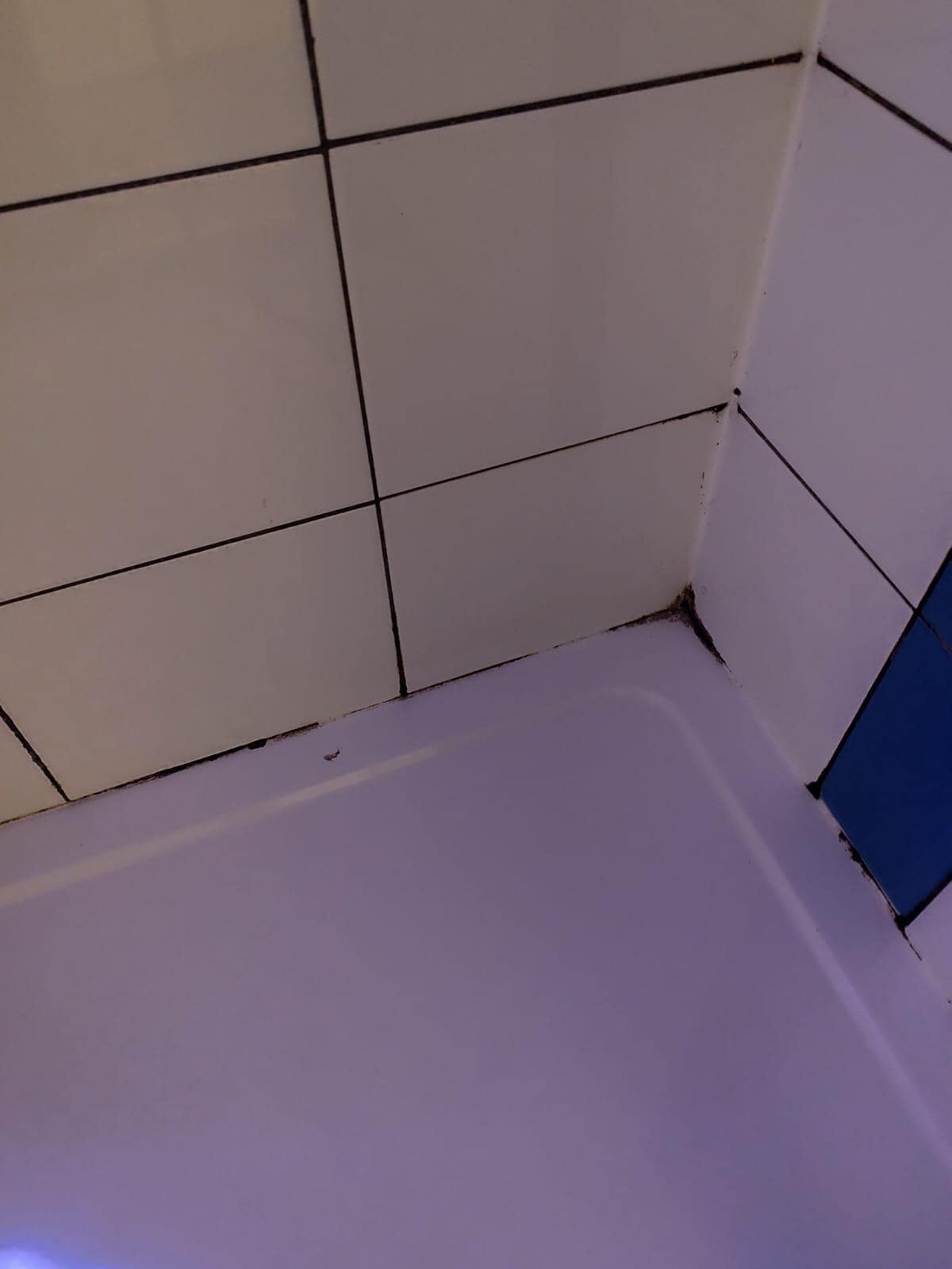 The bathroom felt cleaner before I was going to use it