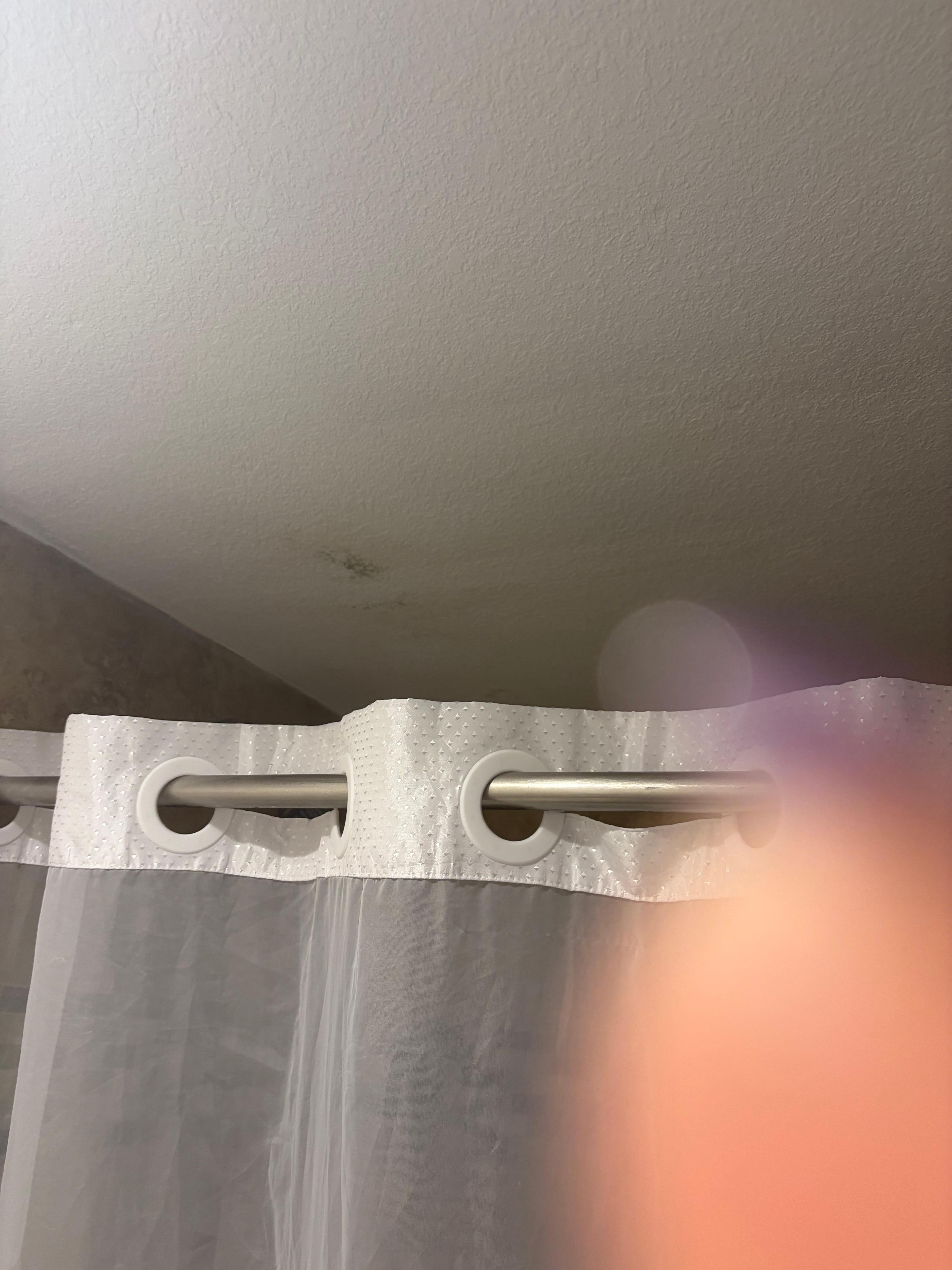 That was the mold on the ceiling should have taken one of the walls 