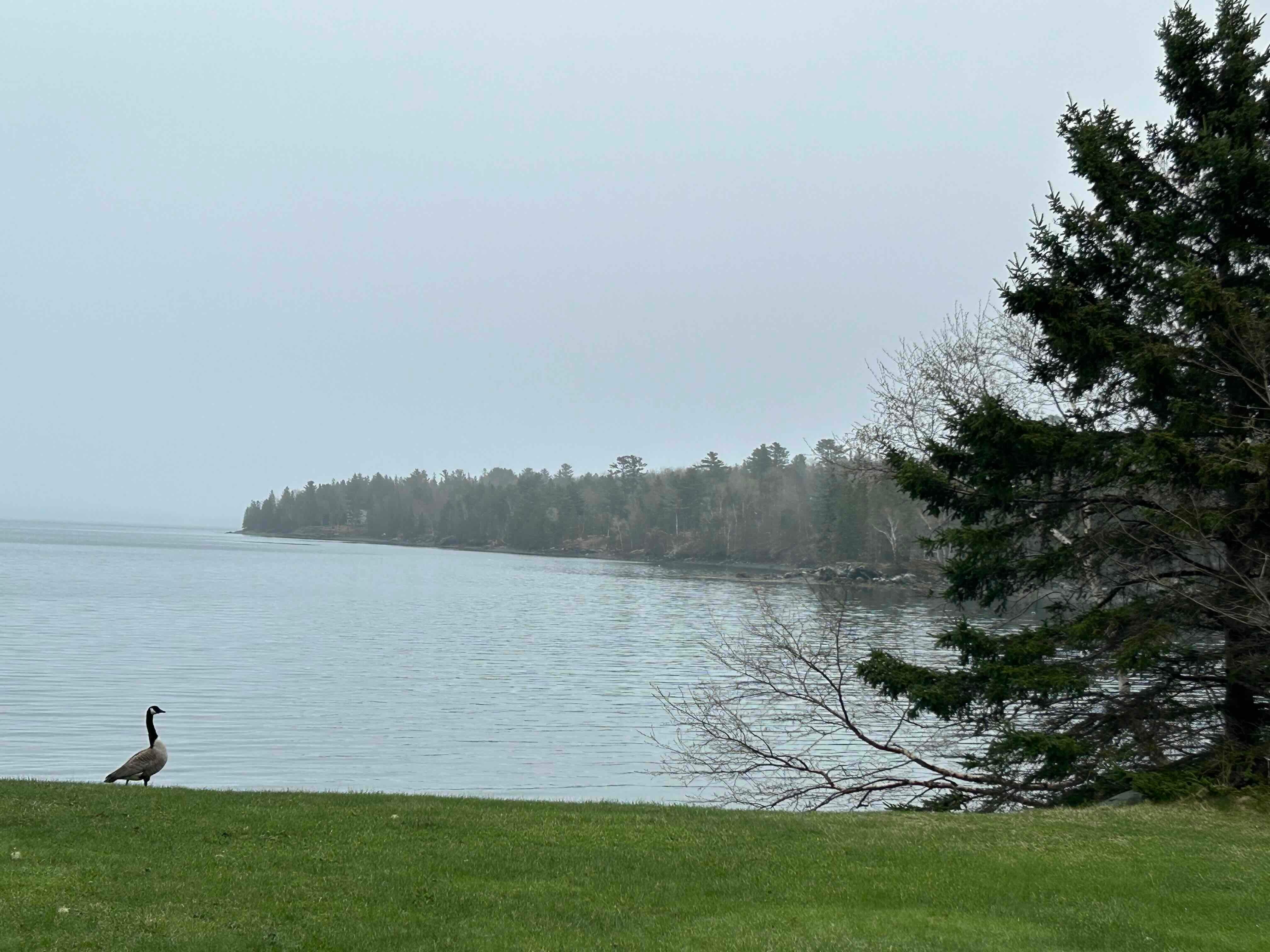 At the back of Biomedical center, it overlooks the cove