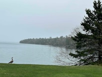 At the back of Biomedical center, it overlooks the cove