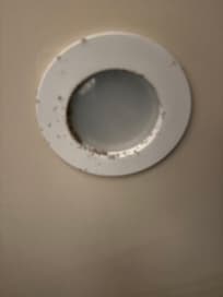 No idea what types of bugs/spiders these were