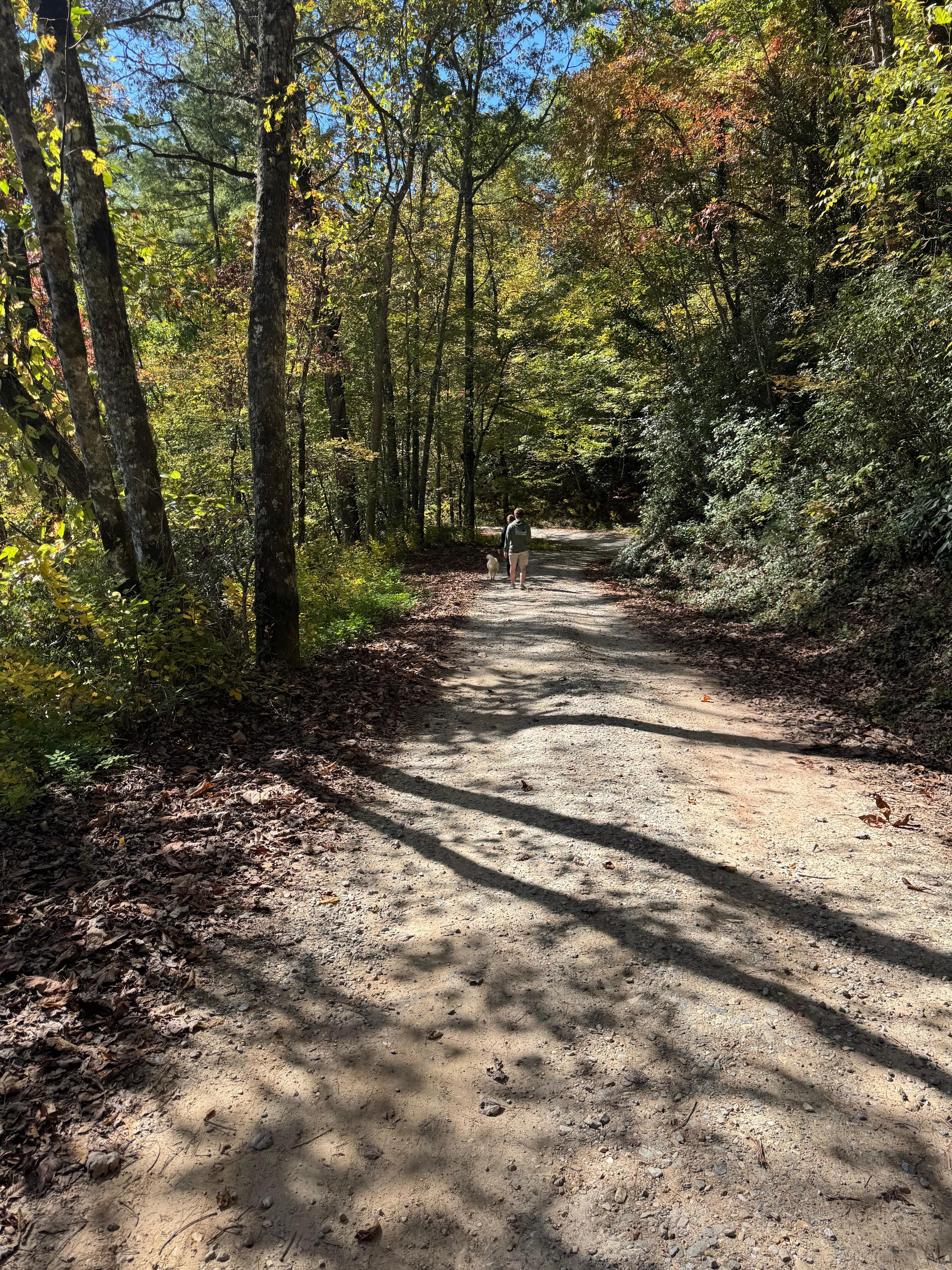 Secluded gravel road to Blue Boar Community 
