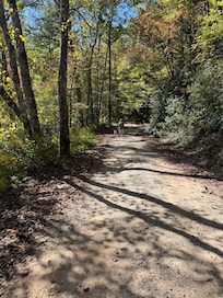 Secluded gravel road to Blue Boar Community