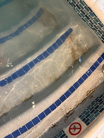 Indoor pool was filthy.