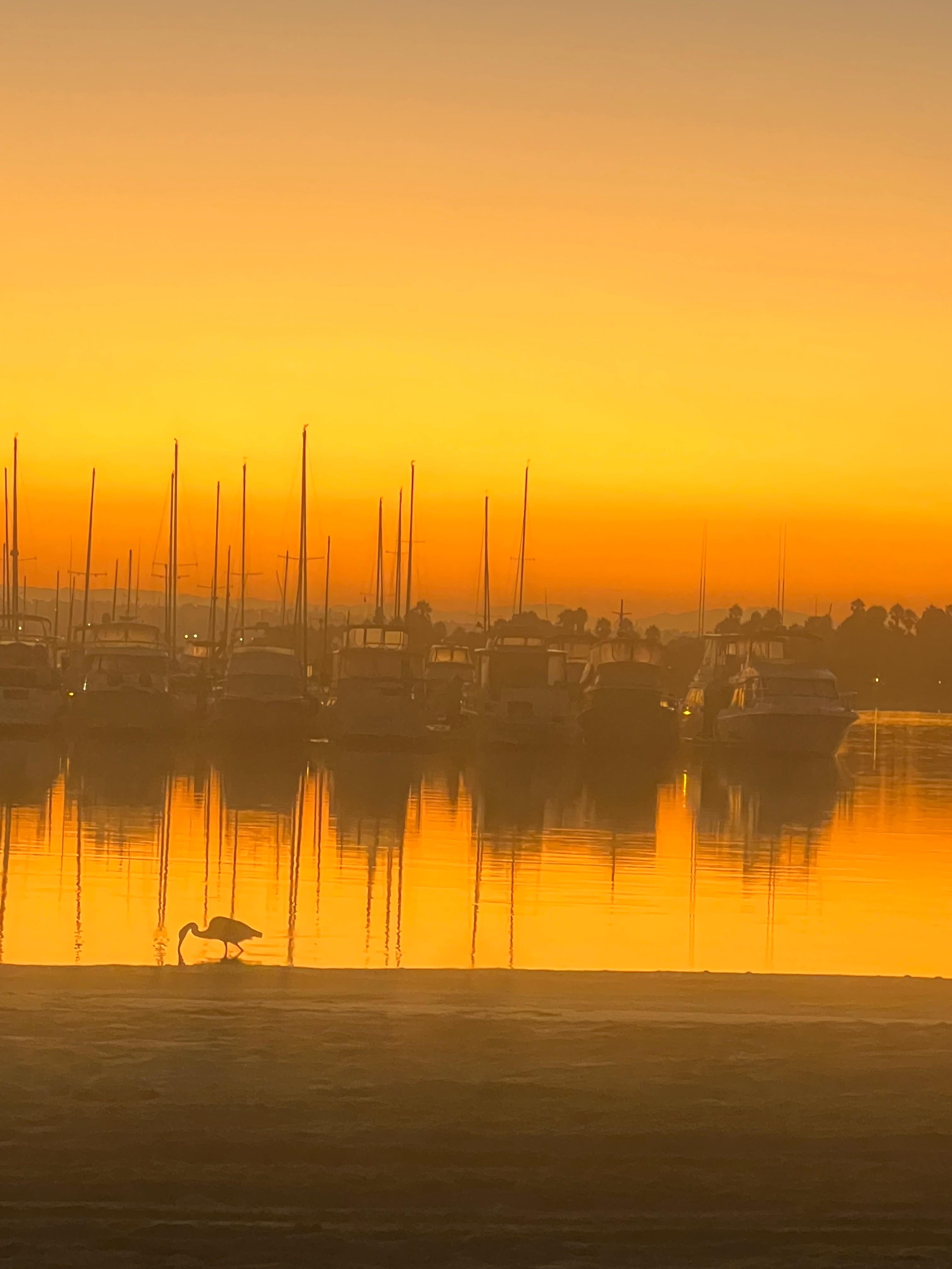 Sunrise from across the street