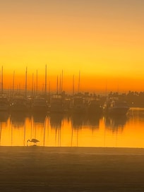 Sunrise from across the street