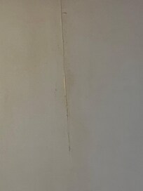 peeling wallpaper