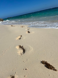 The Beach at the Loren