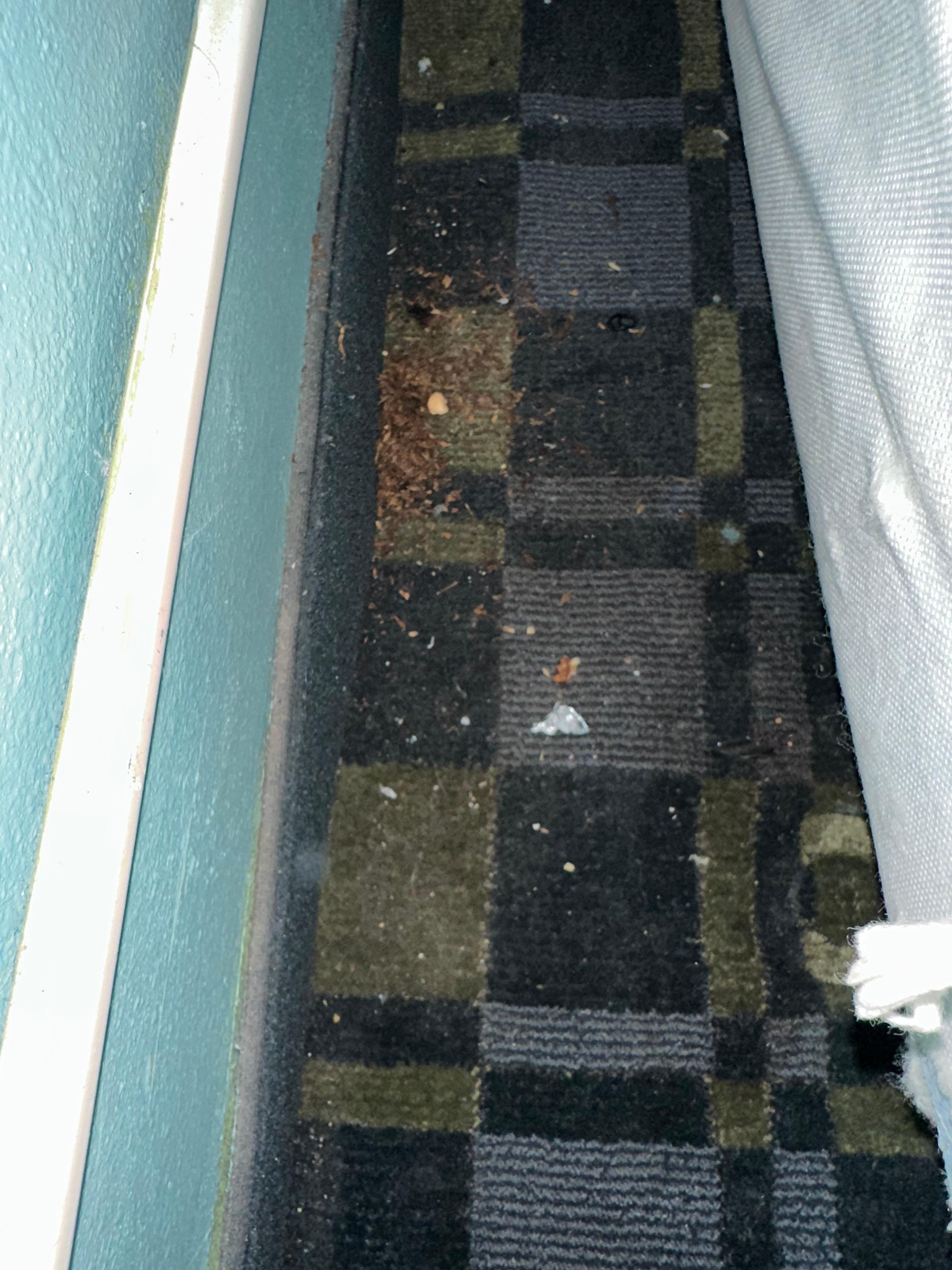 Tobacco or something on the floor