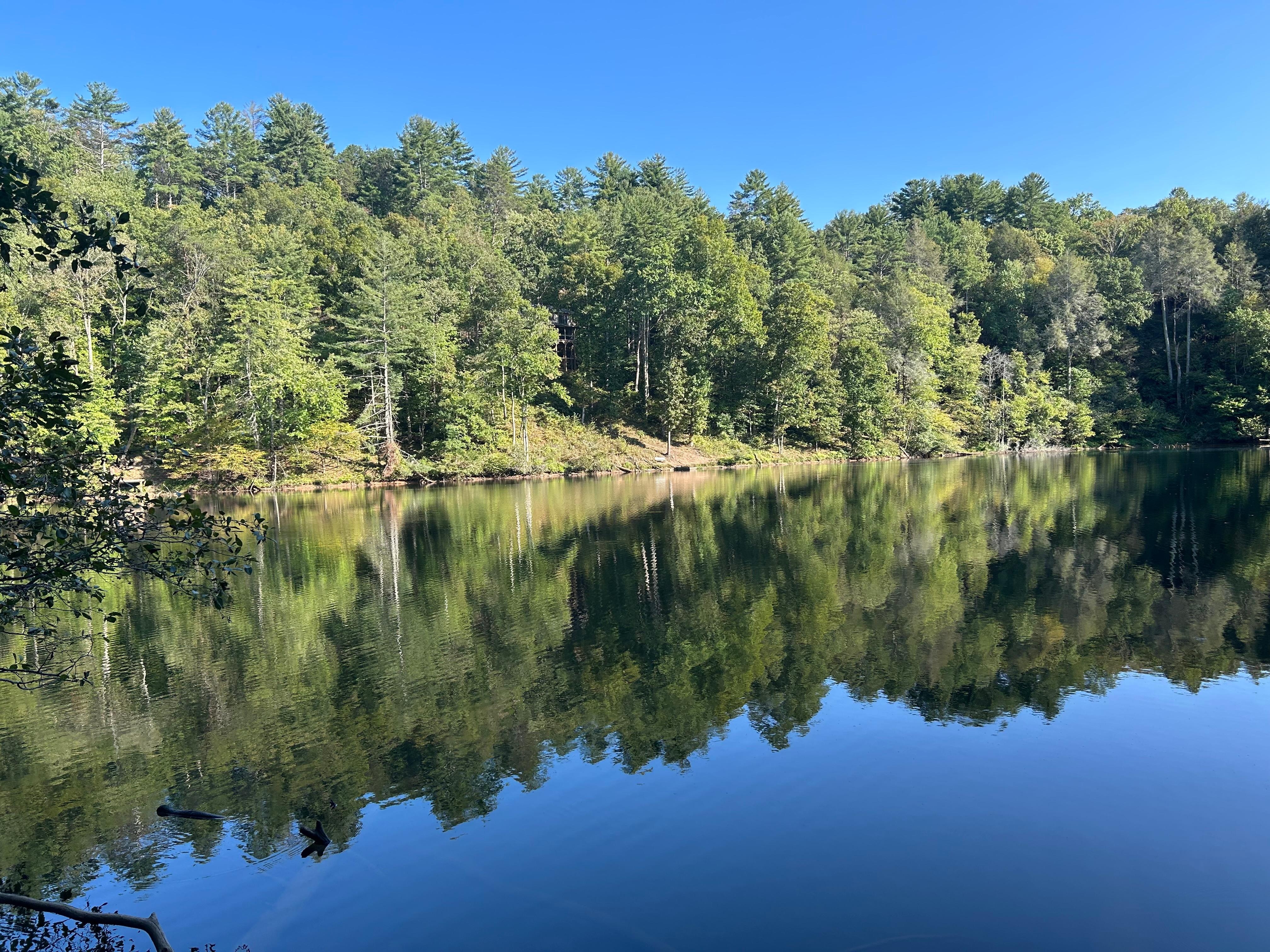The mirror reflection and calm water