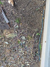 Internet cable on ground animals ate instead of being buried and wrong cable it was a indoor cable