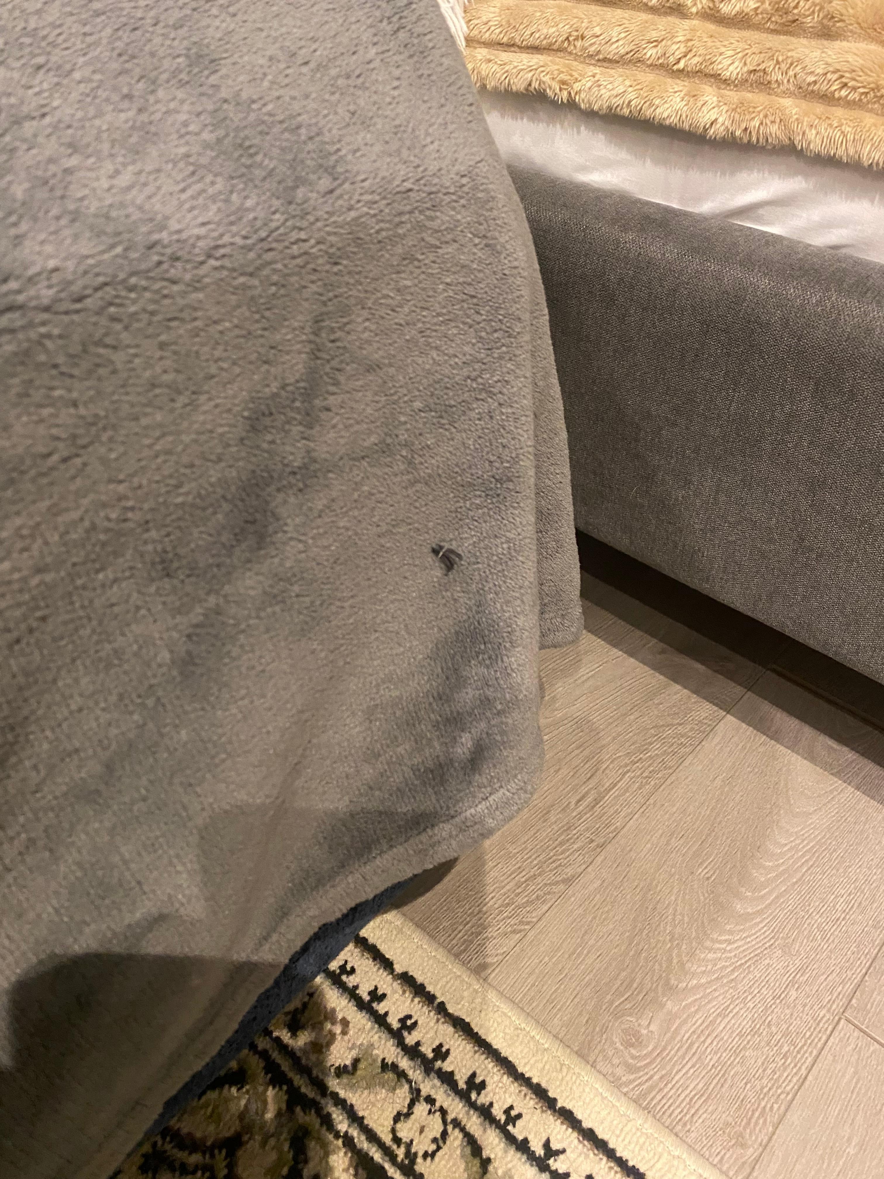 Eyelash extension on blanket 