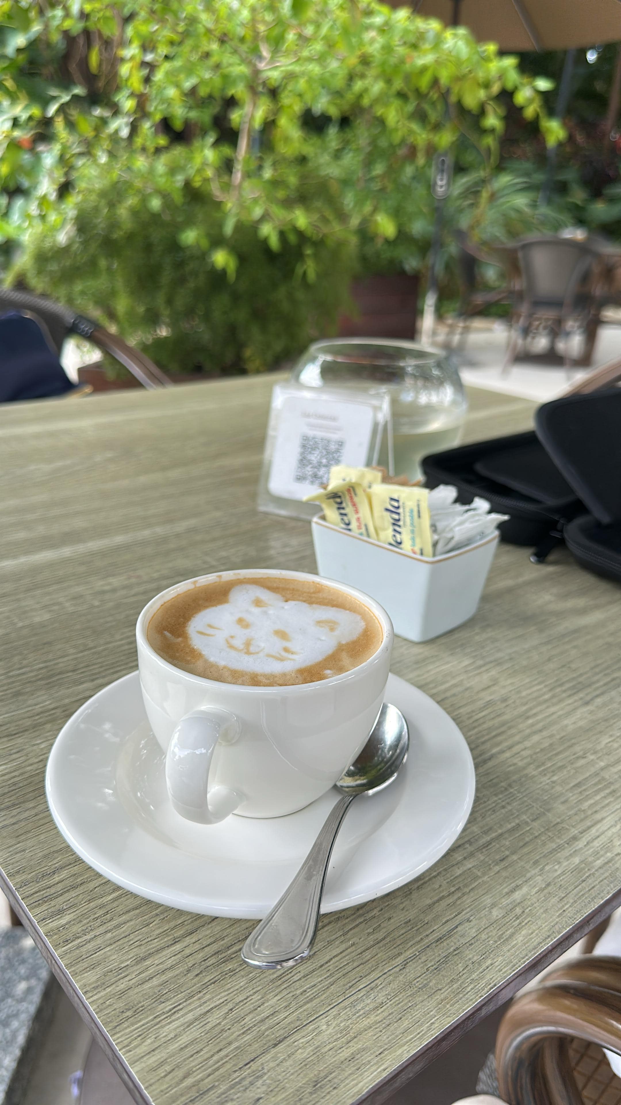 A capuchino at the Cotorra Bar
