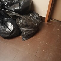 Trash and dried mud.