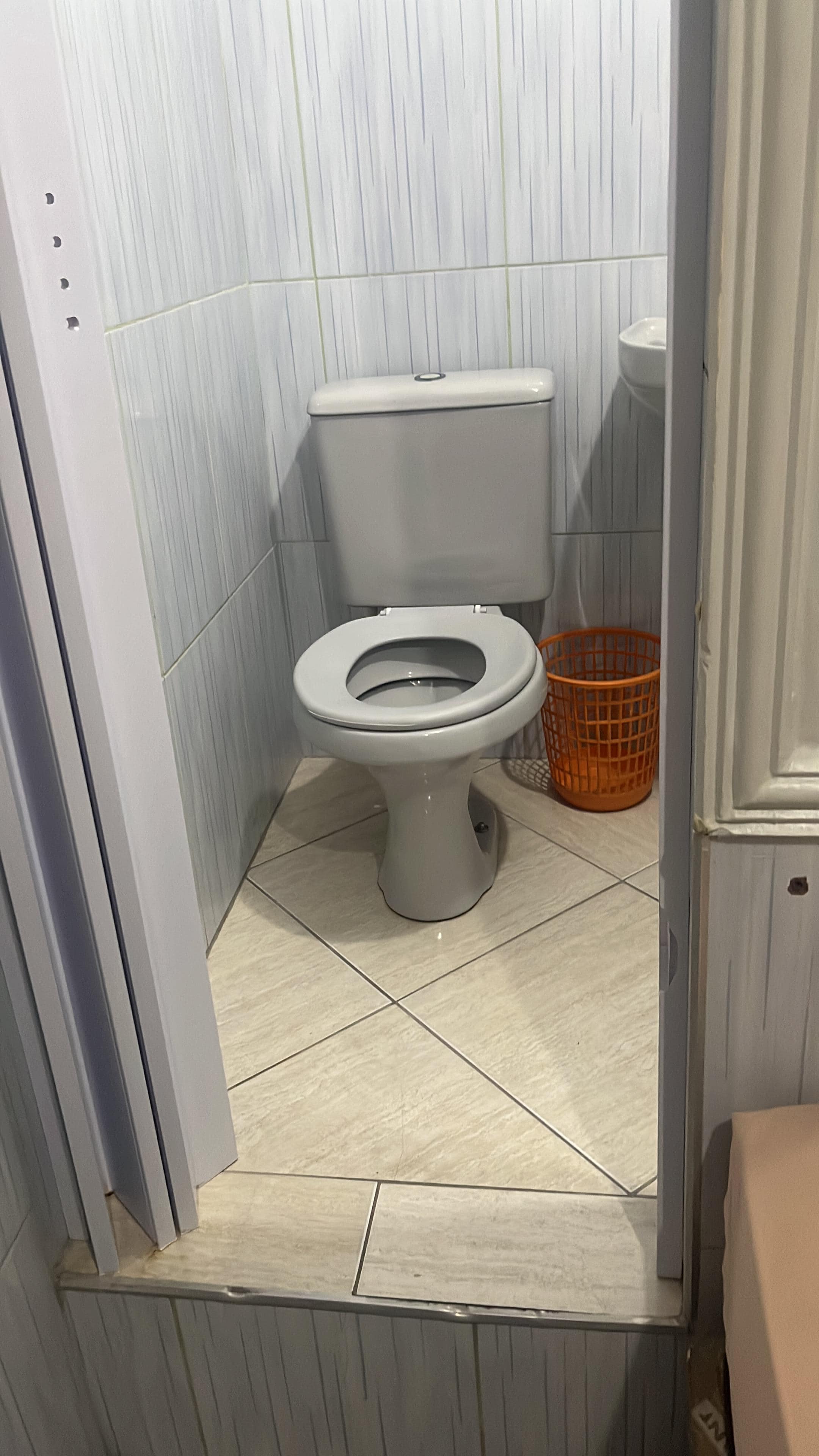 Banheiro sem papel higiênico, sem tampa no vaso, o chuveiro molha tudo do lado de fora e o degrau altíssimo pra entrar