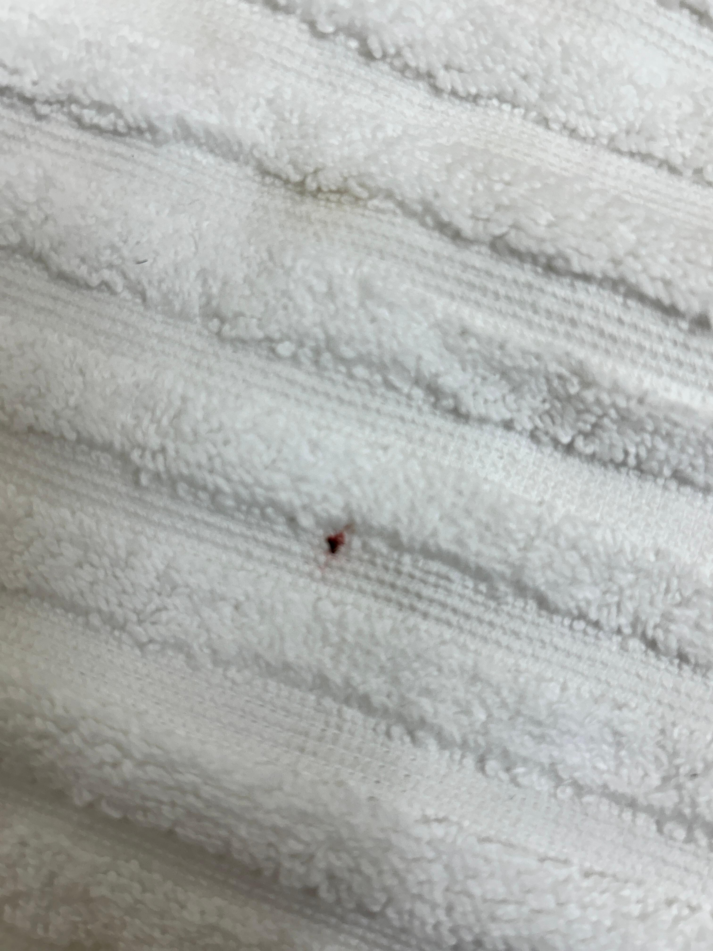 Bugs
