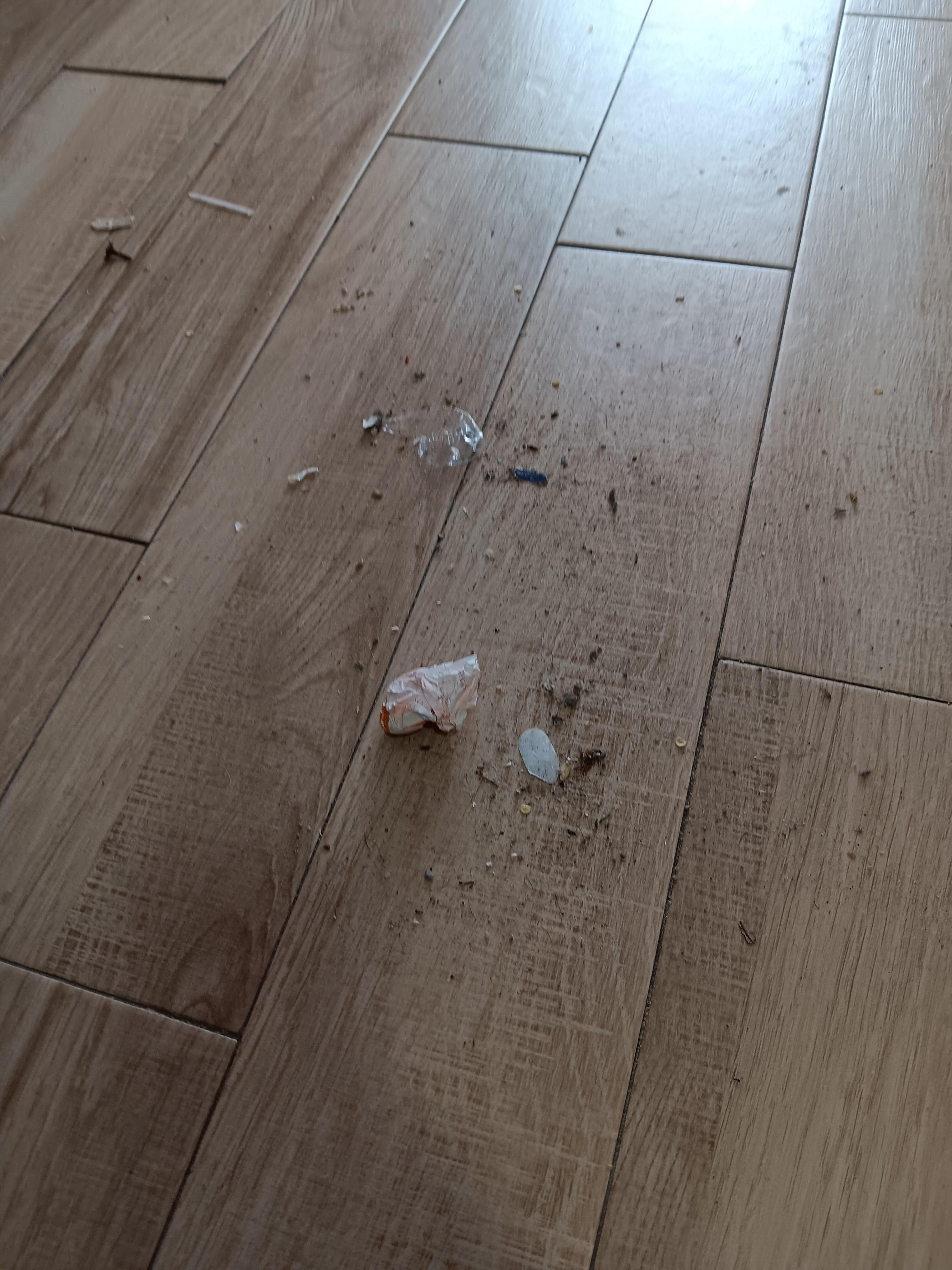 Debris that I swept up