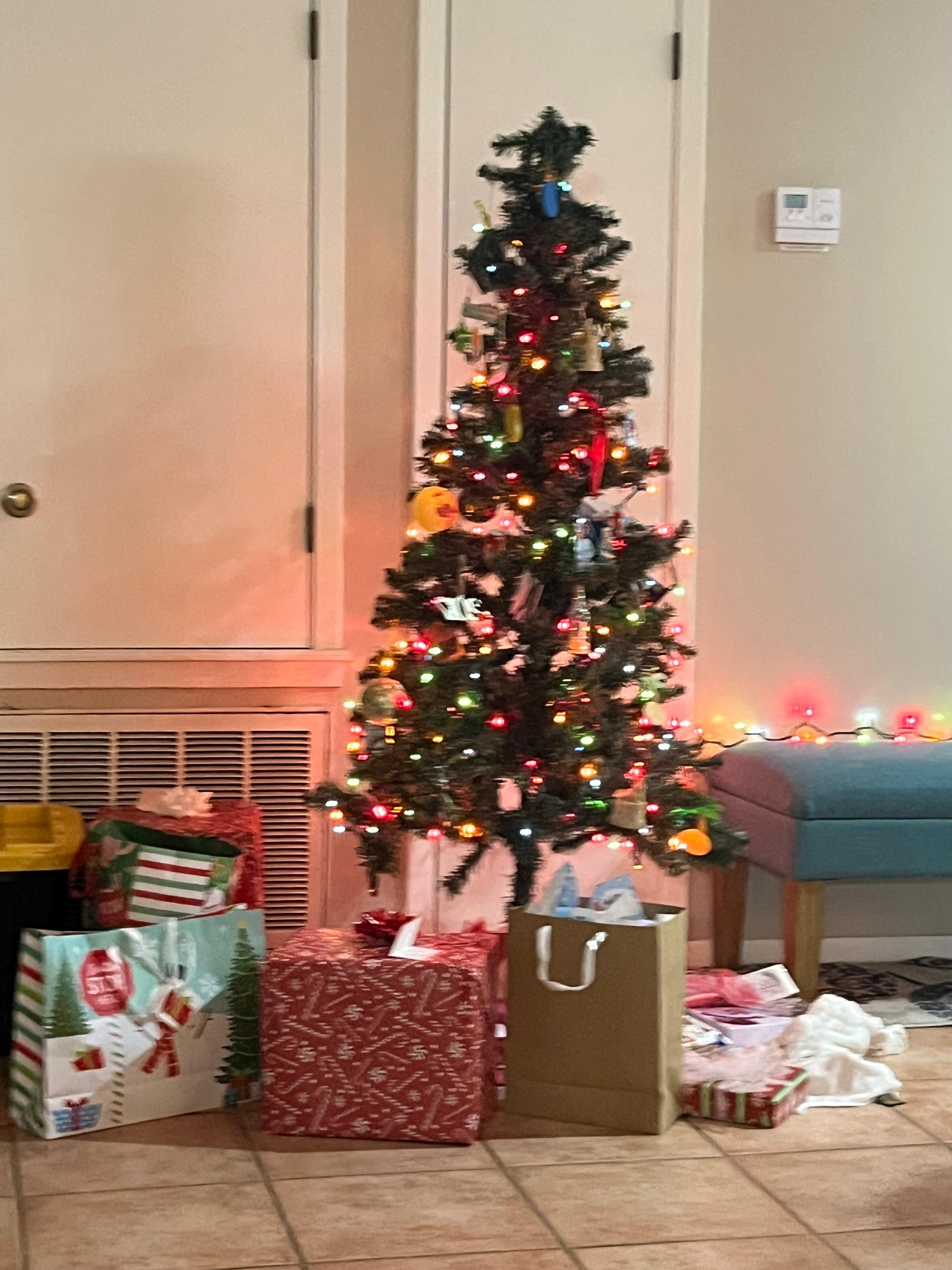 We celebrated our Christmas so we put up a small tree