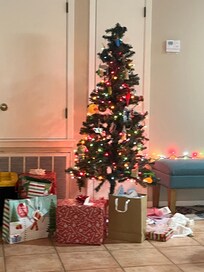 We celebrated our Christmas so we put up a small tree