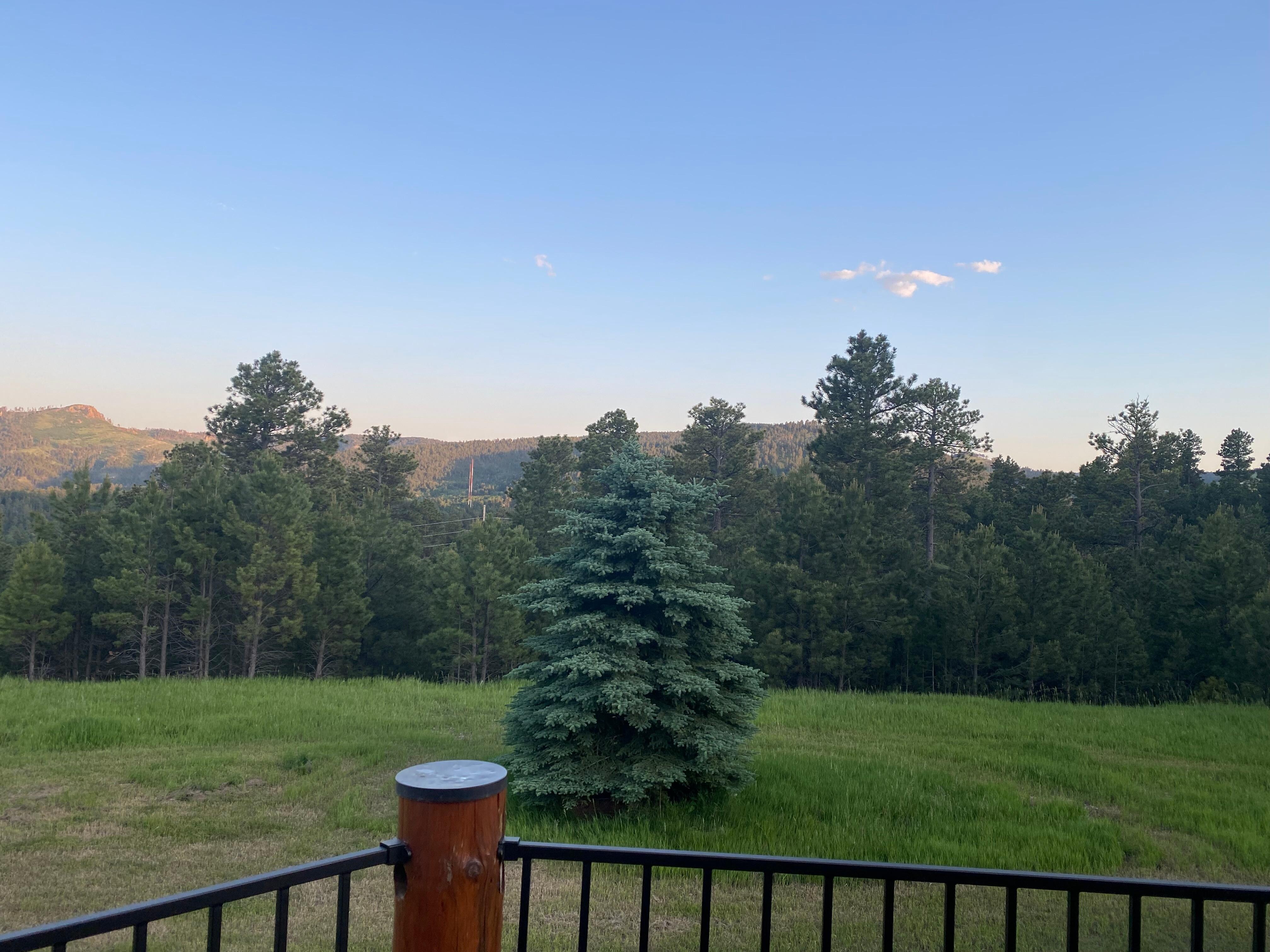 View from deck