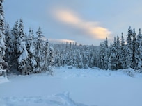 Beautiful snowy front yard.
