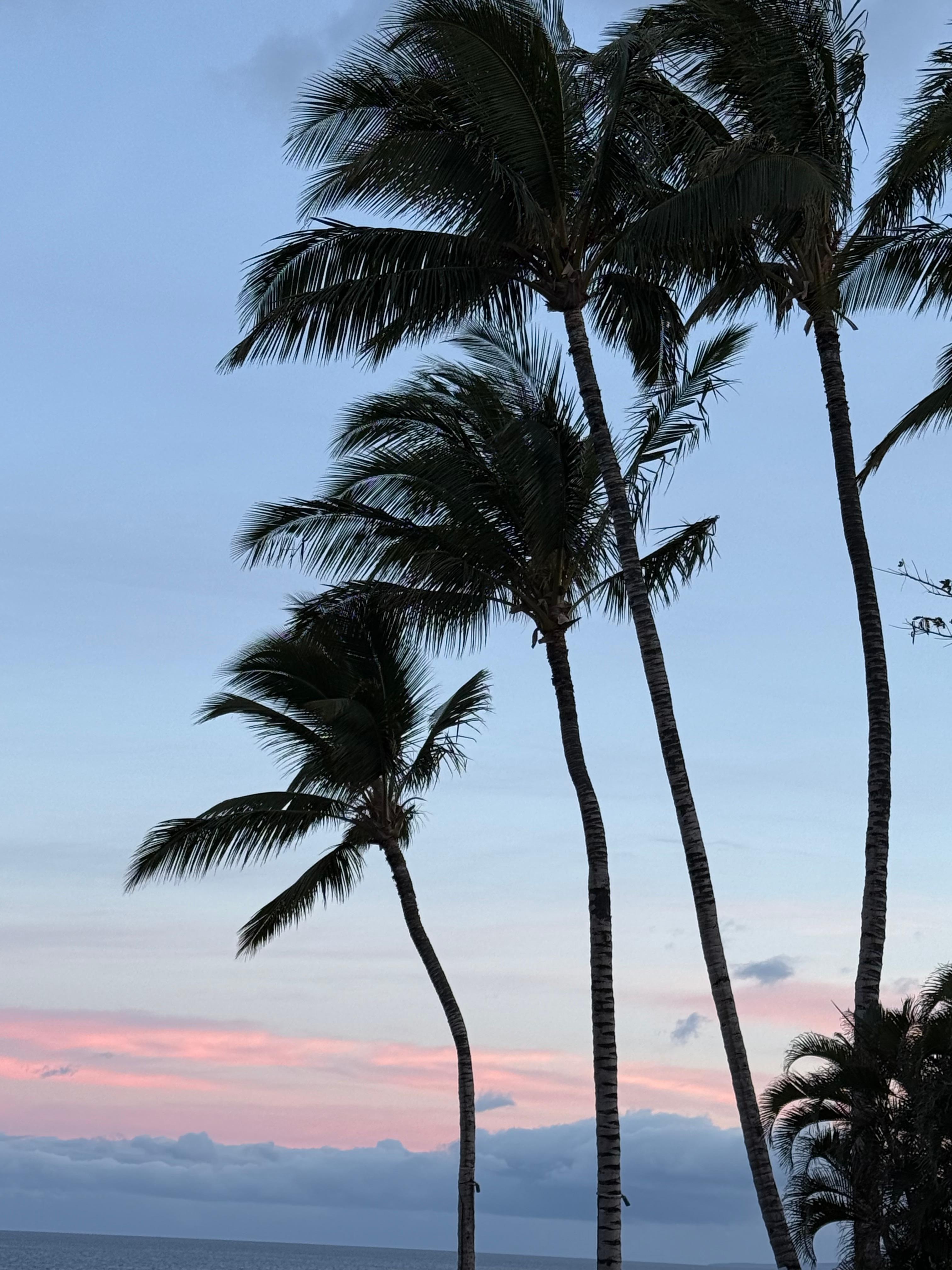 Sunrise from the lanai 