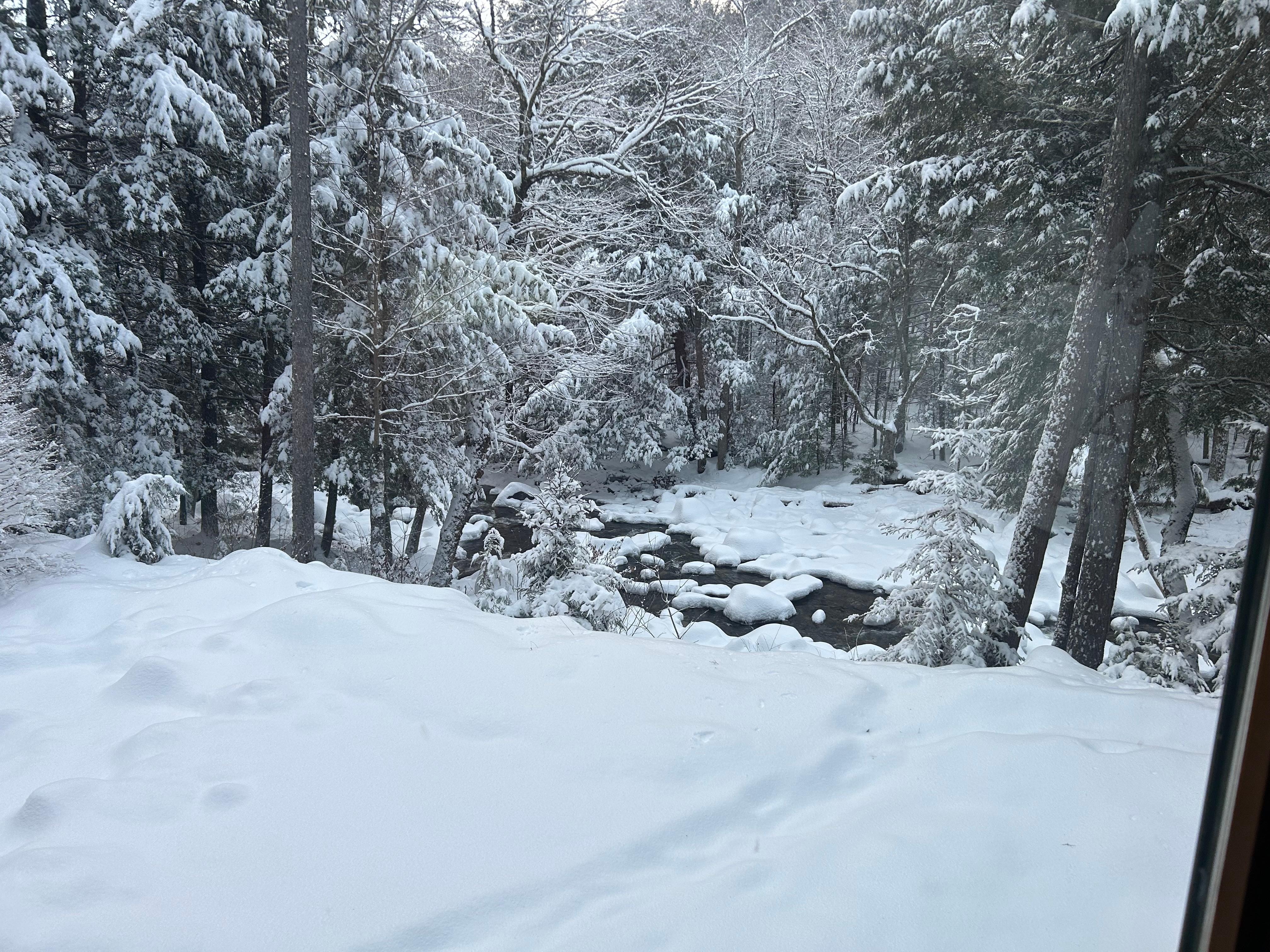 View from dining area. Fresh snow a bonus! 