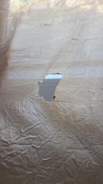 Burnt curtains