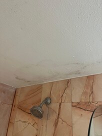 Previous or ongoing ceiling leak