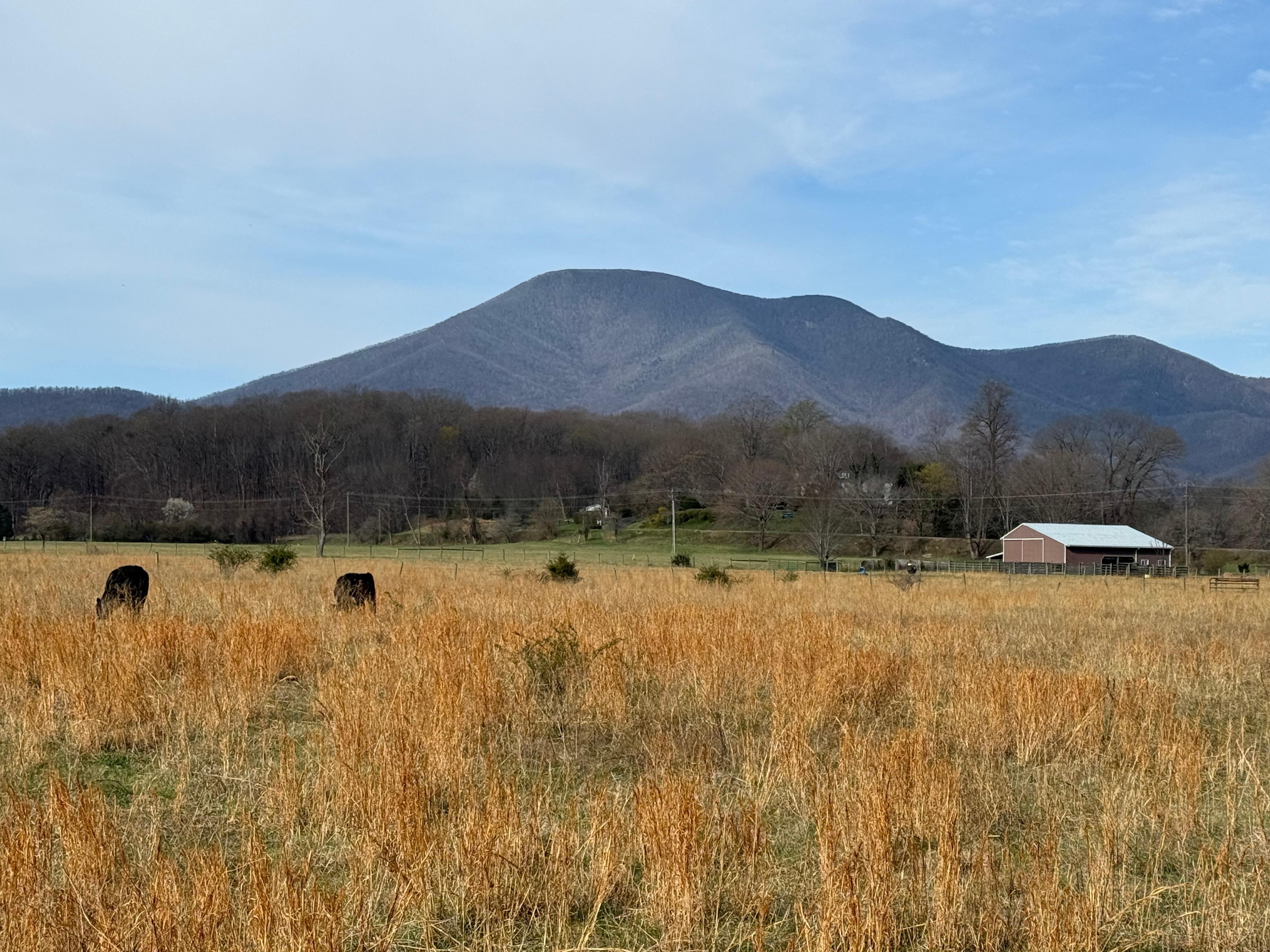 Beautiful Nelson County just minutes away!