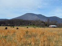 Beautiful Nelson County just minutes away!