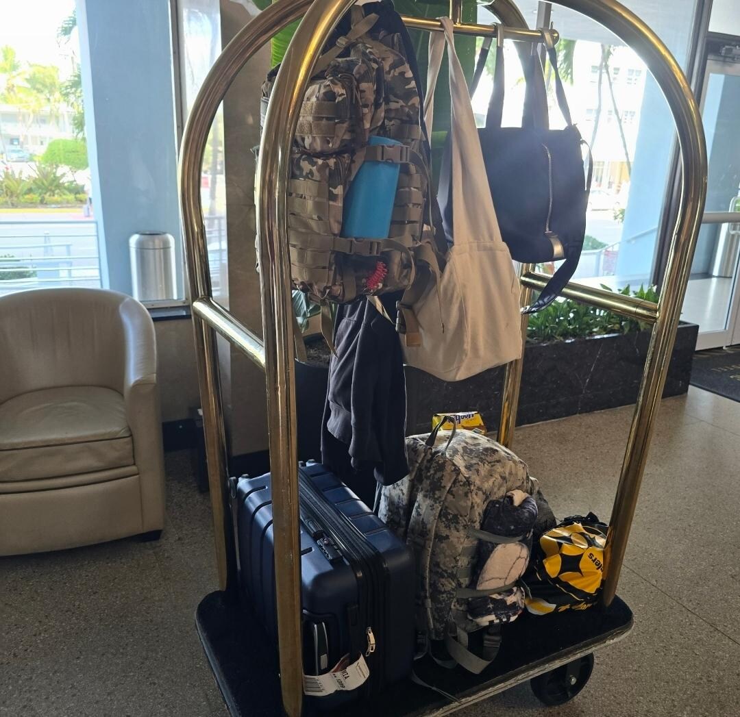 We absolutely loved these carts all hotels should have these made experience 10times better