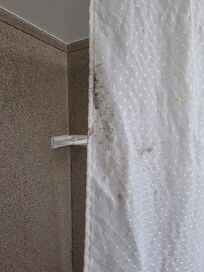 Mold or not?? you tell me