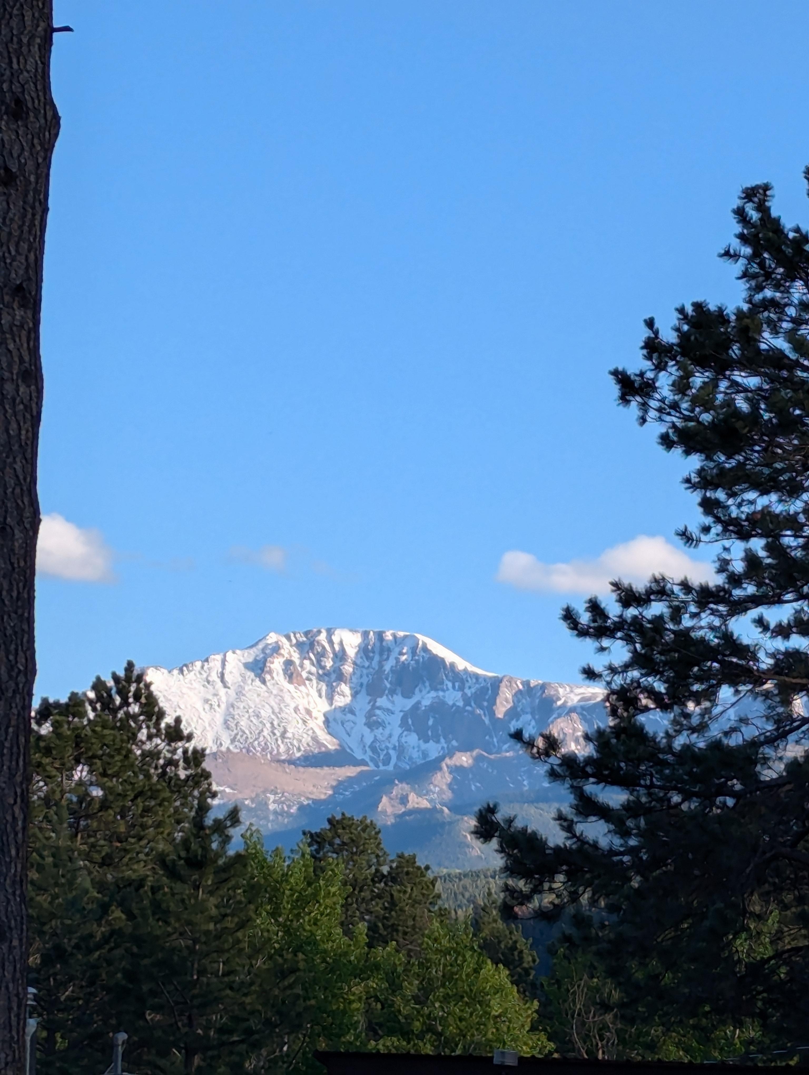 Backyard view during our stay in early June