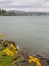 View from pier