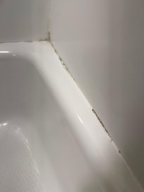 Mold around shower