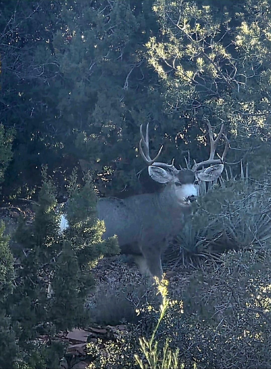 Right outside the home