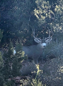 Right outside the home