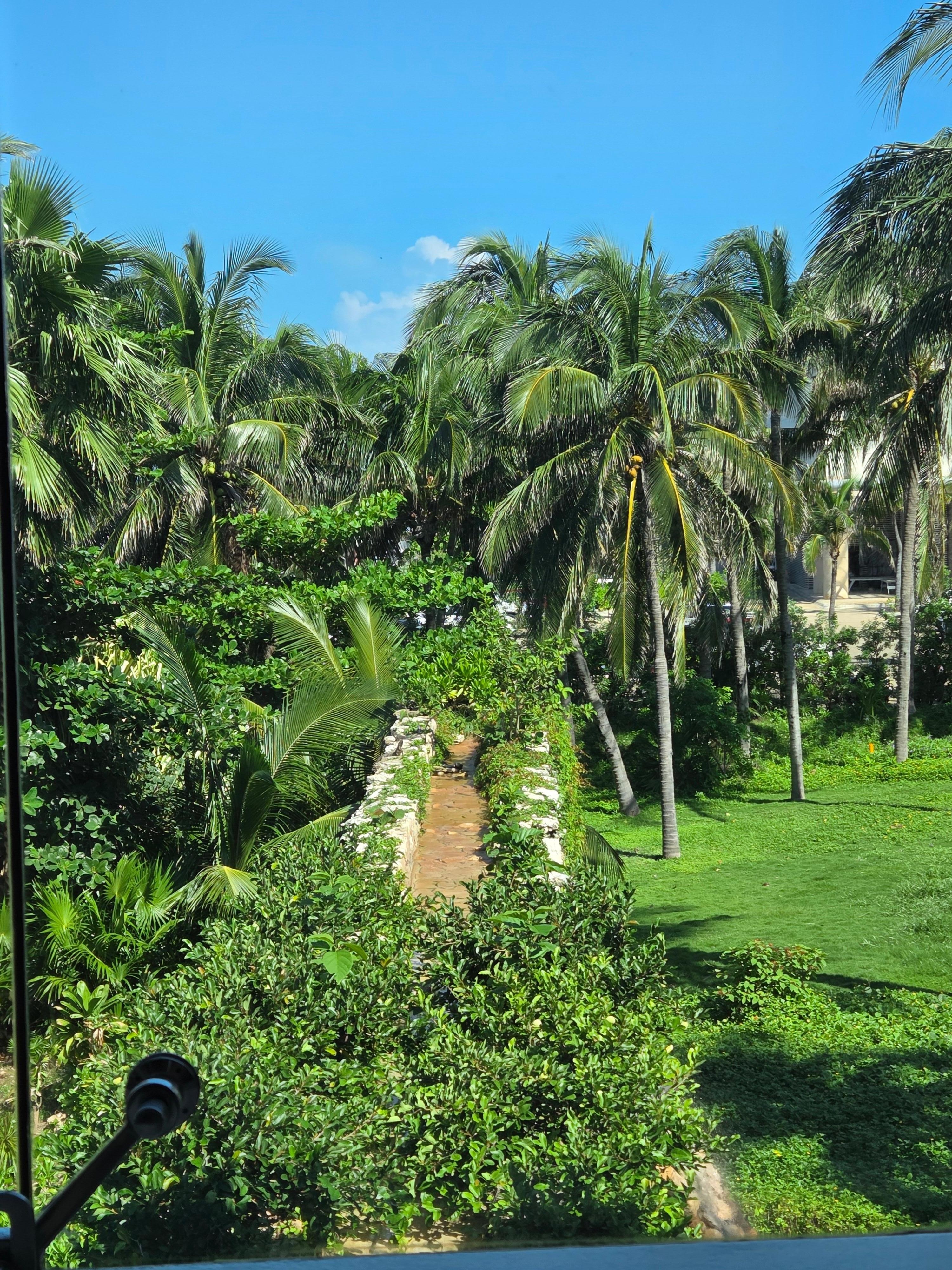 View from Italian restaurant 