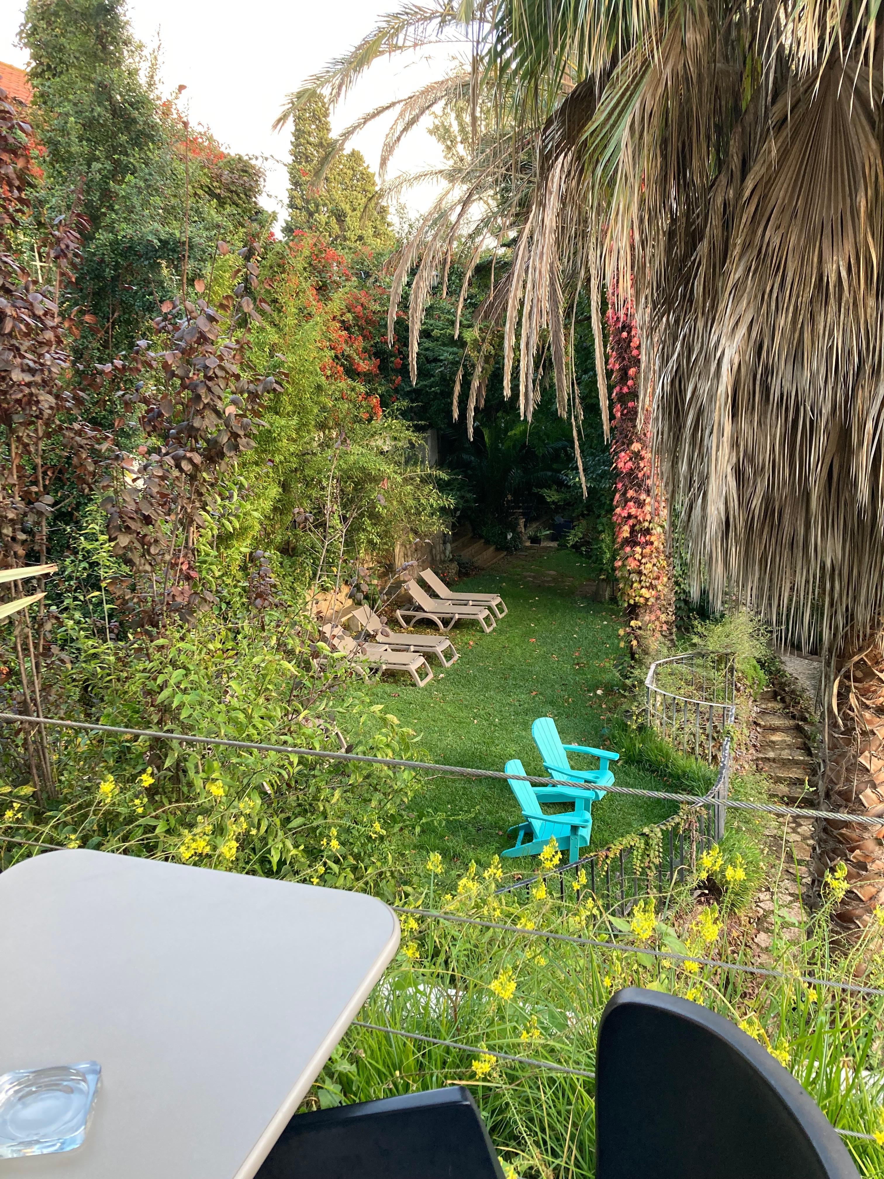 A glimpse of the garden.