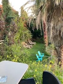 A glimpse of the garden.