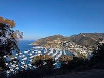 View of Avalon harbor from Chimes Tower Road