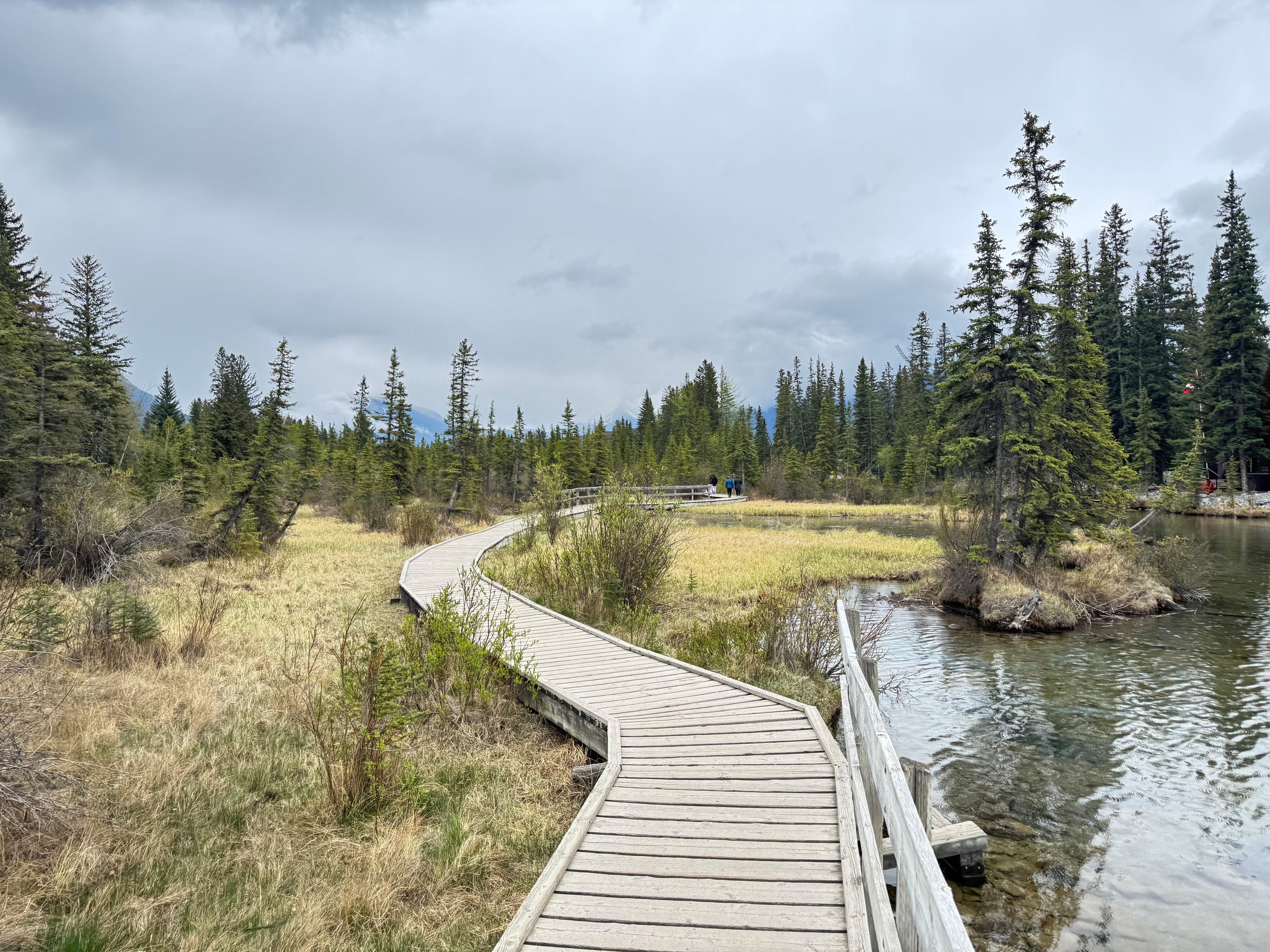 just across the street you can find this cool trail along the river