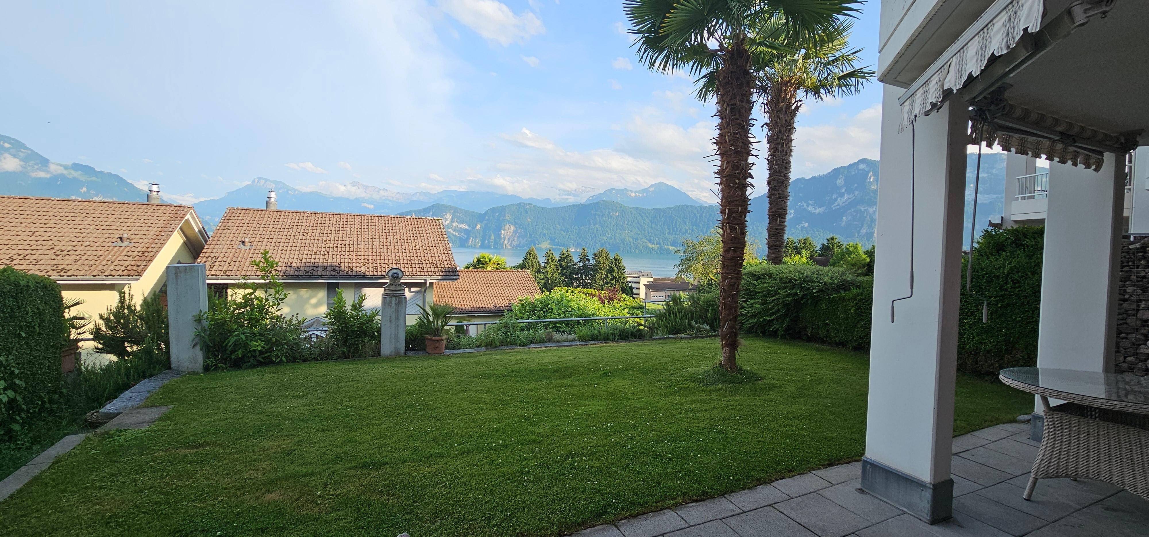 View from the house