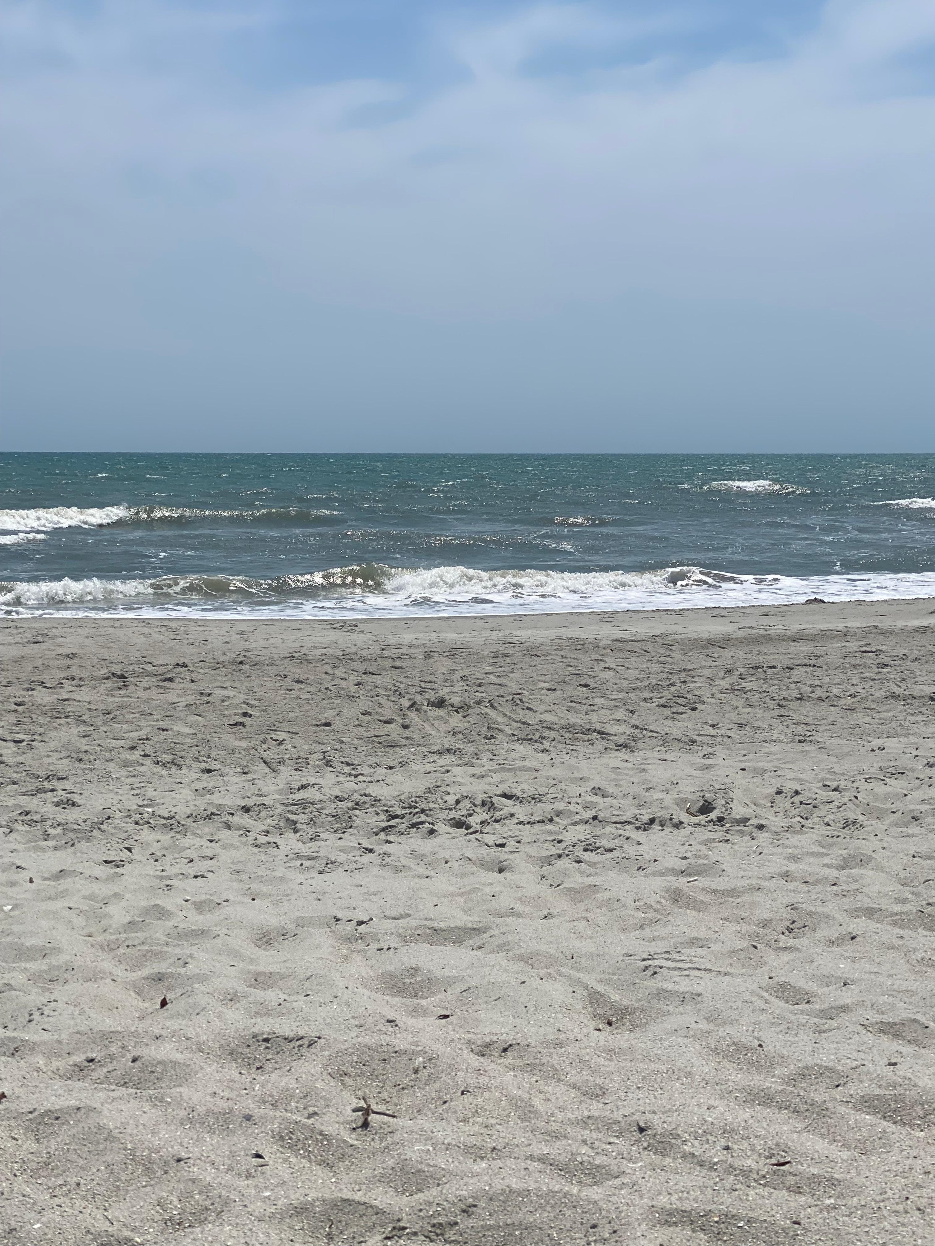 View of beach 