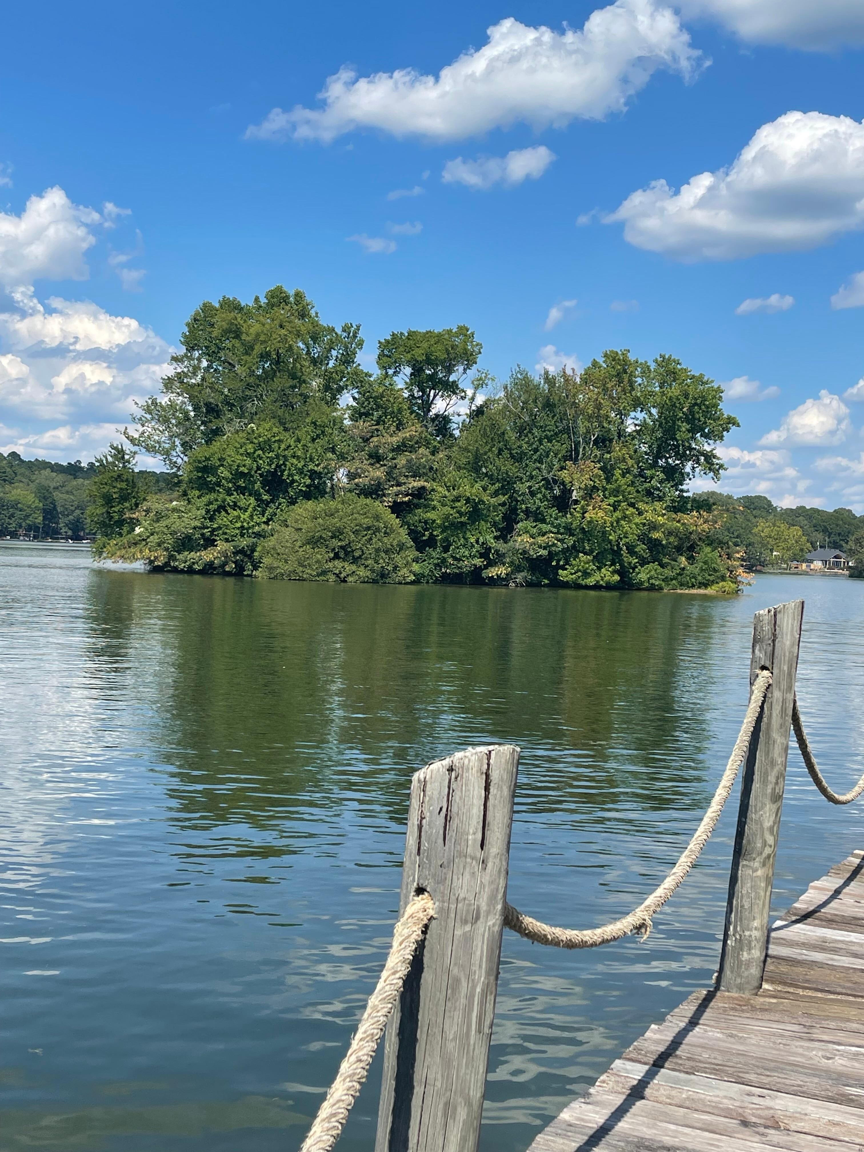 Watching for the wildlife that takes up residence on this island!