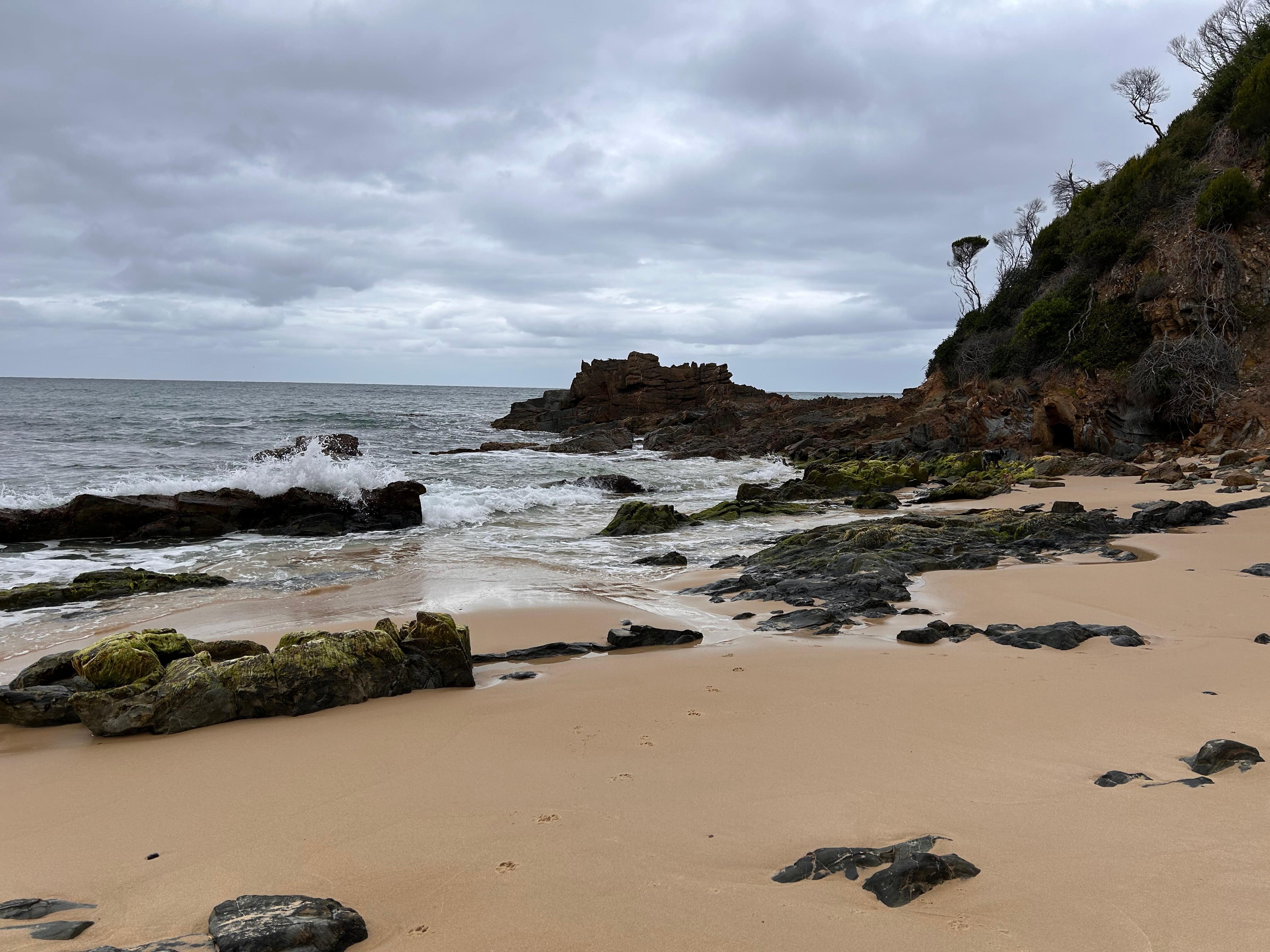 Cave beach Mallacoota. Perfect for doggies and humans