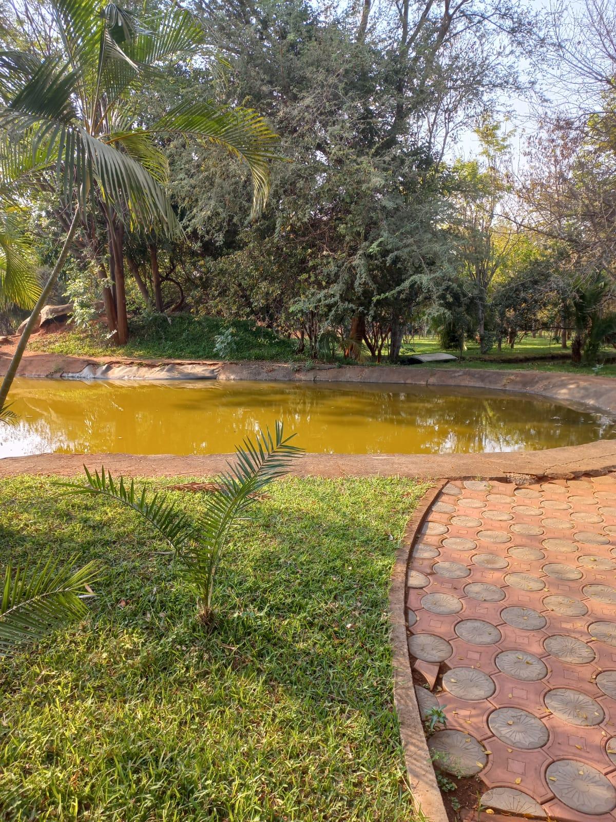 Pond area