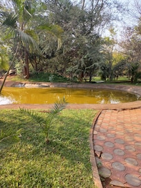Pond area